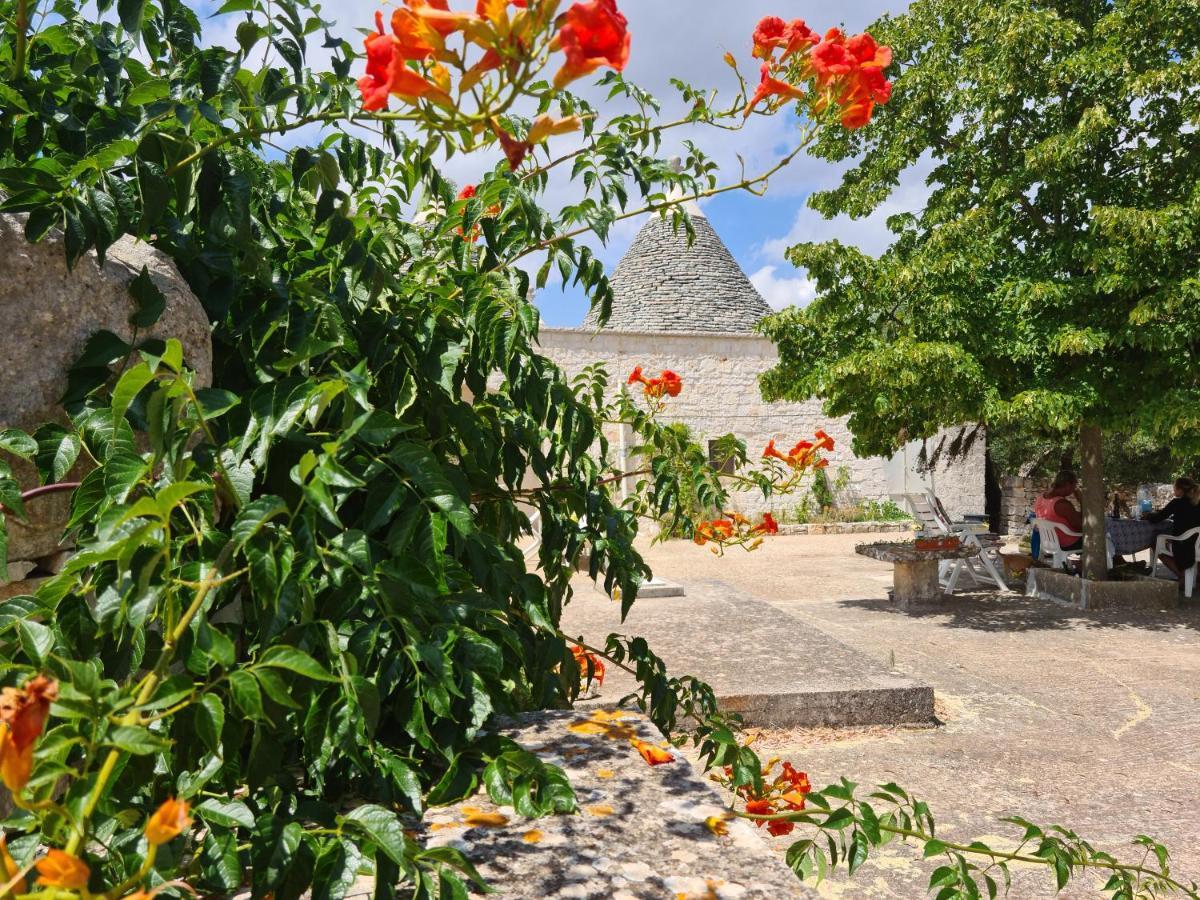 Trulli L'Utopia Di Anny Trulli Anny'S Utopia โลโกโรตอนโด ภายนอก รูปภาพ